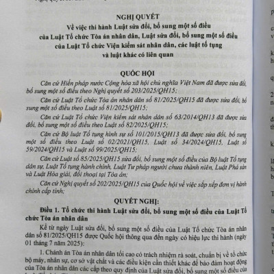 Sách Luật Tổ Chức Tòa Án Nhân Dân, Viện Kiểm Sát Nhân Dân sửa đổi, bổ sung năm 2025 (V2612T)