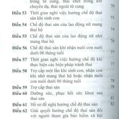Luật Bảo Hiểm Xã Hội Năm 2024