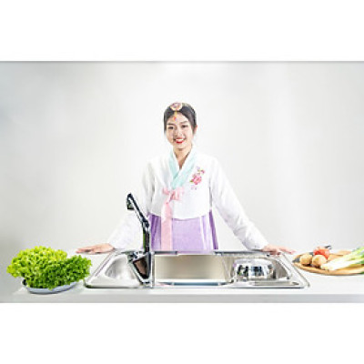 Chậu rửa inox 304 đơn Lizens LDSP 850