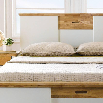 Giường đơn Vivid