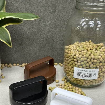 Chai thủy tinh có quai xách Echo Glass Bottle 1.0L - Hàng Nội Địa Nhật Bản