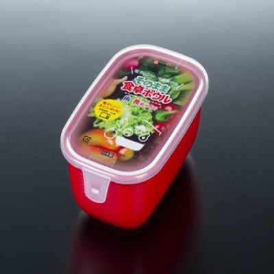 Hộp nhựa cao cấp Nhật Bản Nakaya 500ml bảo quản thực phẩm dùng trong lò vi sóng ( giao màu ngẫu nhiên )