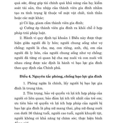Luật phòng, chống bạo lực gia đình năm 2022 - bản in 2024