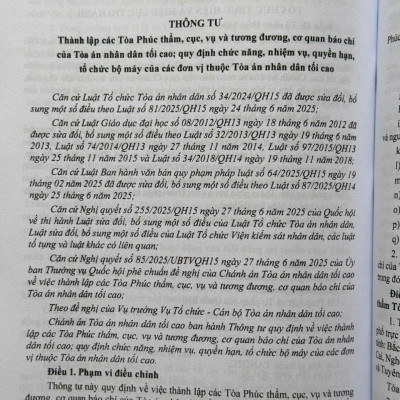 Sách Luật Tổ Chức Tòa Án Nhân Dân, Viện Kiểm Sát Nhân Dân sửa đổi, bổ sung năm 2025 (V2612T)