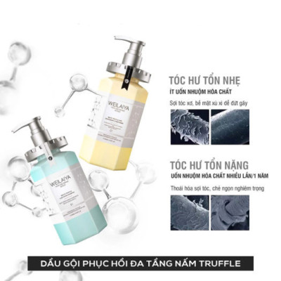 Combo Dầu gội xả phục hồi đa tầng nấm Truffle Weilaiya hương nước hoa và Dầu gội gừng hà thủ ô Weilaiya 400ml 