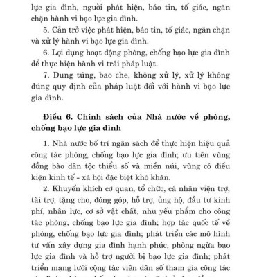 Luật phòng, chống bạo lực gia đình năm 2022 - bản in 2024