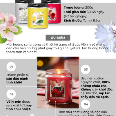 Nến ly Goose Creek (200g) - Succulents