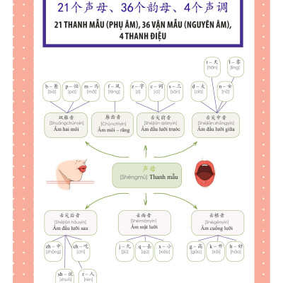 Học Nhanh Nhớ Lâu 1500 Từ Vựng Tiếng Trung Thông Dụng