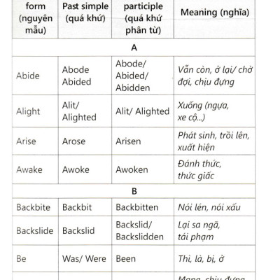 Chinh Phục Từ Vựng Và Ngữ Pháp Tiếng Anh (Dành Cho Người Mới Bắt Đầu - Sbooks) 