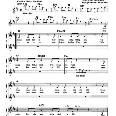 Thực Hành Đệm Organ - Tình Ca Quê Hương (Kèm CD)