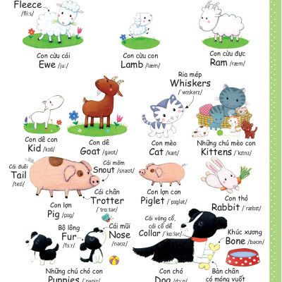 Cuốn Sách Từ Vựng Đầu Tiên Của Tôi - My First Word Book- Nông Trại - Farm