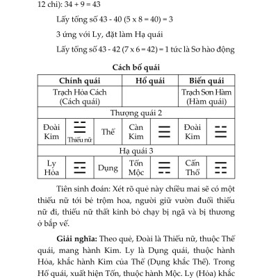Sách - Mai Hoa Dịch Số - Nguyễn Tuấn Vũ