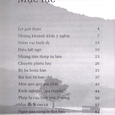 Hạt Giống Tâm Hồn 16 - Tìm Lại Bình Yên - FN