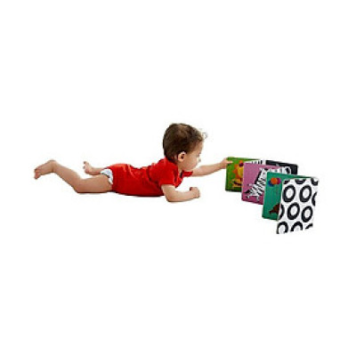 TummyTime(R): Animal Parade