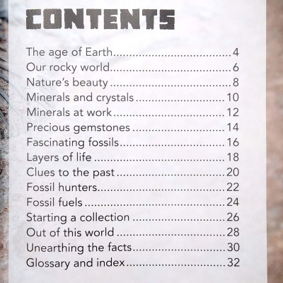 My Best Book Of Rocks And Fossils