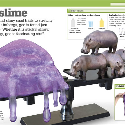 The Science Of Goo!: From Saliva And Slime To Frogspawn And Fungus