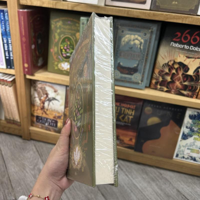 Sách - Truyện cổ Andersen (2 tập) (Nhã Nam HCM)