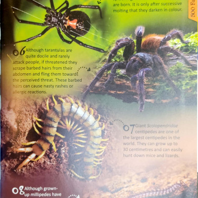 500 Fantastic Facts - Animals