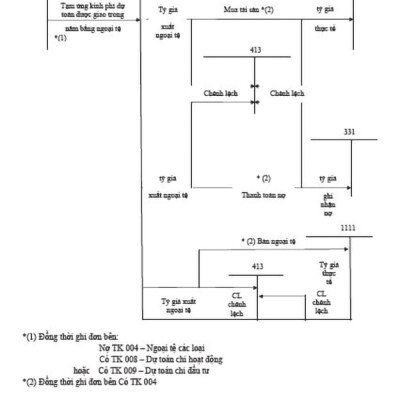 Hướng Dẫn Thực Hành 161 Sơ Đồ Kế Toán Hành Chính, Sự Nghiệp (Theo Thông Tư Số:24/2024/TT-BTC)