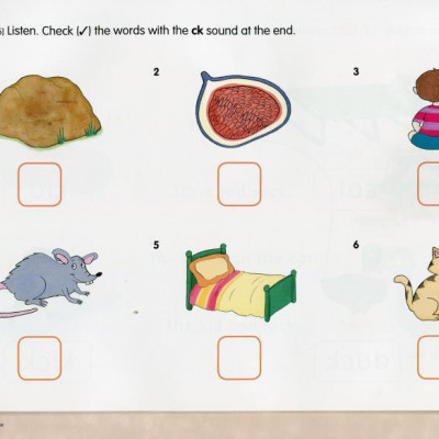 Show and Tell 2: Literacy Book