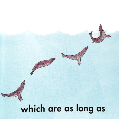 How Long Is A Whale?