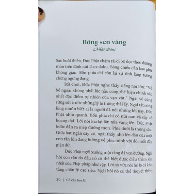 Sách - Cỏ cây hoa lá (và lời thủ thỉ của thiên nhiên với con người) (Nhã Nam Official)