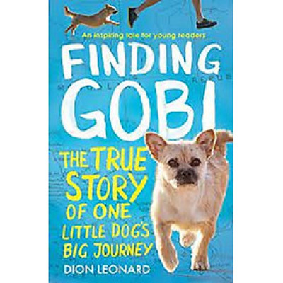 Finding Gobi