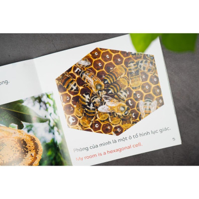 Sách - Khám Phá Thế Giới - Song Ngữ Việt Anh - Cho Trẻ 3 - 9 Tuổi - Combo 10 Cuốn - Đinh Tị Books