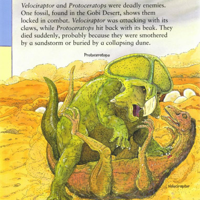 First Dinosaur Picture Atlas