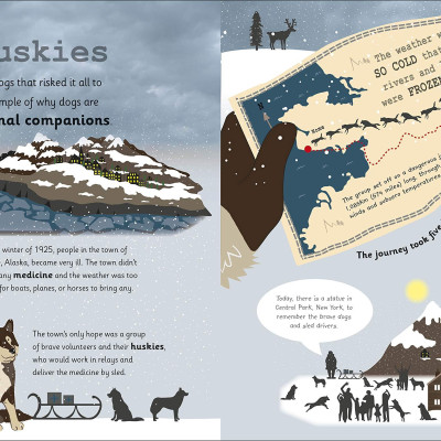 My Encyclopedia of Very Important Animals: For Little Animal Lovers Who Want to Know Everything (My Very Important Encyclopedias)