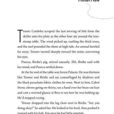 The Forgotten Five Book 1: Map Of Flames