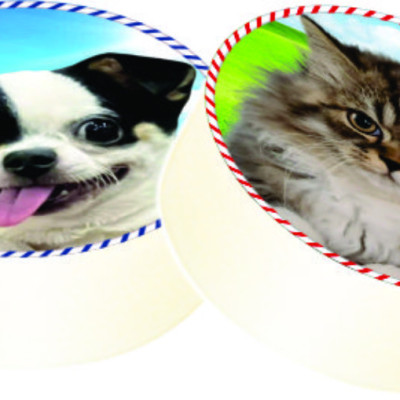 CỜ ĐẤU TRƯỜNG MUÔN THÚ NEW LIÊN HIỆP THÀNH