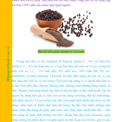 Bí Quyết Thành Công Kĩ Thuật Trồng Tiêu Hiệu Quả - KV