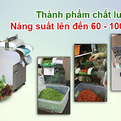Máy Thái Lát Rau Củ Quả Có Băng Tải 3A370W Năng Suất 100Kg/h - Hàng Chính Hãng