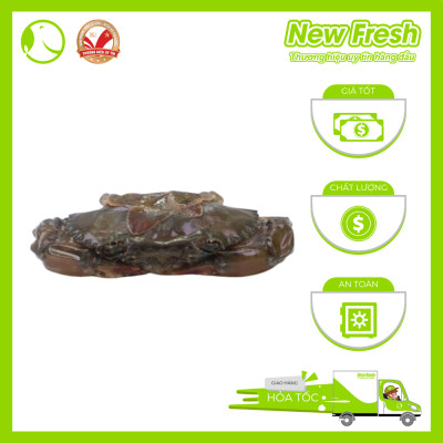 [GIAO NHANH HCM] Cua Lột Myanmar - Túi 1Kg (8-10 con)