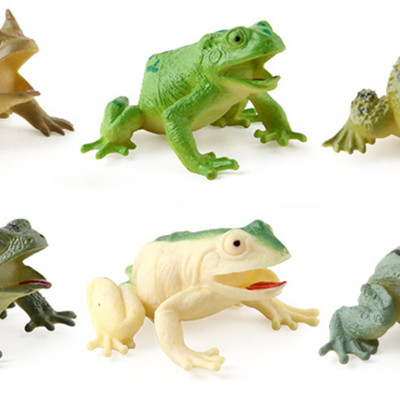 Bộ 6 đồ chơi Ếch nhái giả Frog Toy size lớn nhiều màu y như thật cho bé chơi Halloween