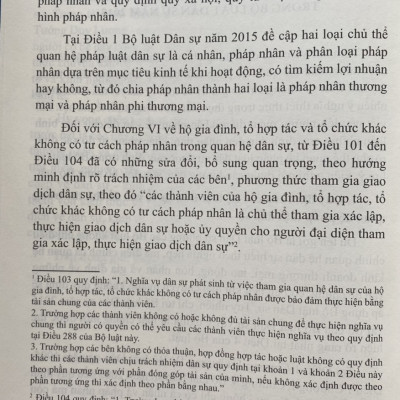 Pháp Luật Dân Sự kinh Tế Và Thực Tiễn Xét Xử ( Tập 1 )
