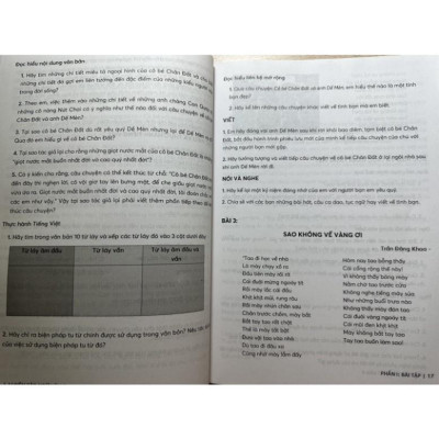 Sách - Luyện tập phát triển năng lực Ngữ Văn 6