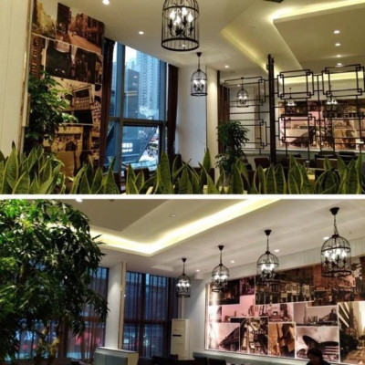 Đèn thả lồng chim,đèn trang trí DT