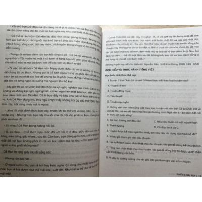 Sách - Luyện tập phát triển năng lực Ngữ Văn 6