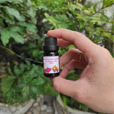 Chai Tinh Dầu Xông Phòng Hương Hoa Hồng 10ml