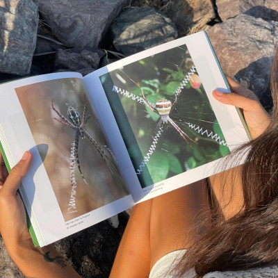 (Sách Song Ngữ) KHÁM PHÁ VIỆT NAM XANH: LINH HỒN CÁNH MỎNG – Chạm Vào Vẻ Đẹp Mong Manh Của Những Sinh Linh Nhỏ Bé - Phạm Thanh Kiều Trang - Alpha Books