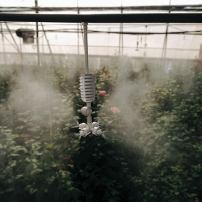 5 Bộ phun sương coolnet tưới lan, nhà kính, sân vườn