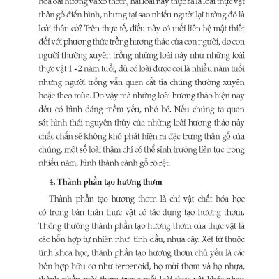 Nông Nghiệp Xanh, Sạch - Kỹ Thuật Trồng Các Loại Cây Hương Thảo