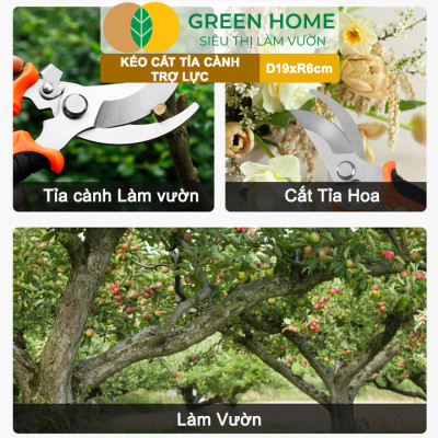 Kéo Cắt Cành GreenHome, D19xR6cm, Tỉa Hoa, Làm Vườn, Thiết Kế Tối Ưu Giảm Lực Tay, Màu Sắc Hiện Đại, Dễ Sử Dụng