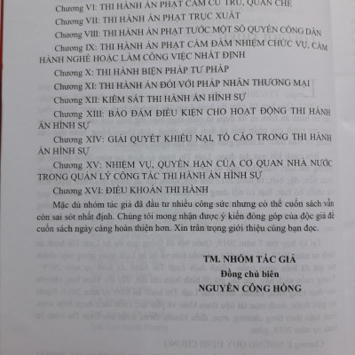 Bình luận Luật Thi Hành Án Hình Sự Năm 2019