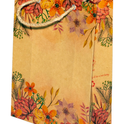 TÚI KRAFT KN205 - 27 X 19 X9 CM - NGẪU NHIÊN