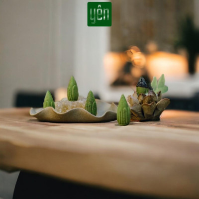 Nụ Khuynh Diệp Sạch Ít Khói Hộp 40 Nụ Yên Tự Nhiên Không Hóa Chất Thờ Cúng Thư Giãn Xông Nhà Tẩy Uế