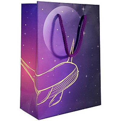 Túi Đựng Quà 16 x 22 x 8 cm - The Whale - The Sun 02