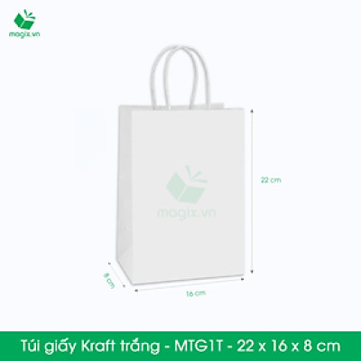 MTG1 MTG1T - 22x16x8 cm - Combo 100 túi giấy Kraft Nhật cao cấp